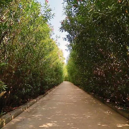 מלון Villaggio Triton - Aurum